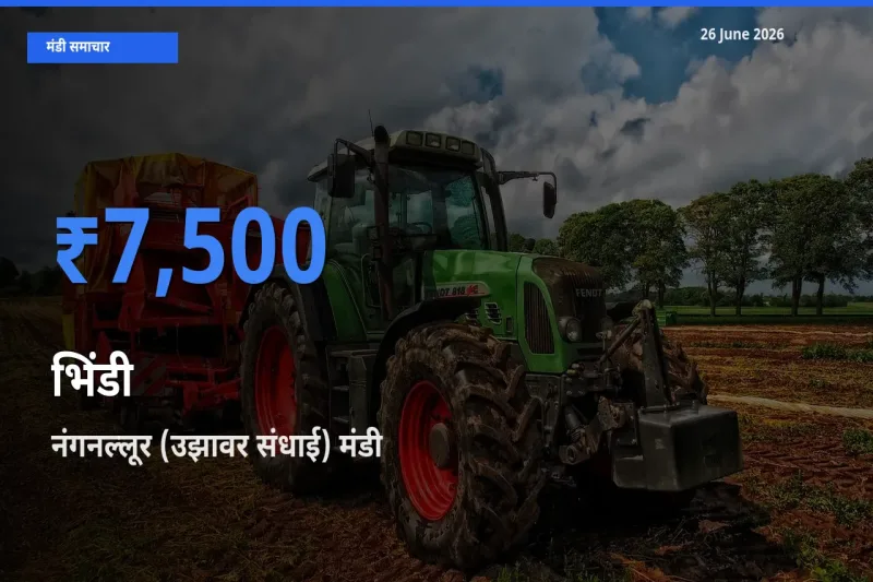 टॉप मंडी बना नंगनल्लूर (उझावर संधाई)! भिंडी के सबसे ऊँचे दाम यहीं दर्ज