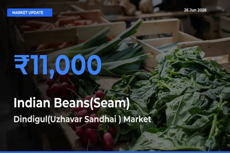 Market Watch: Dindigul(Uzhavar Sandhai ) Becomes Top Mandi for Indian Beans(Seam)