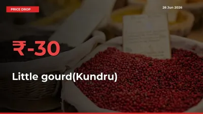 Why Little gourd(Kundru) Prices Fell 30.02% in a Day at Mandis