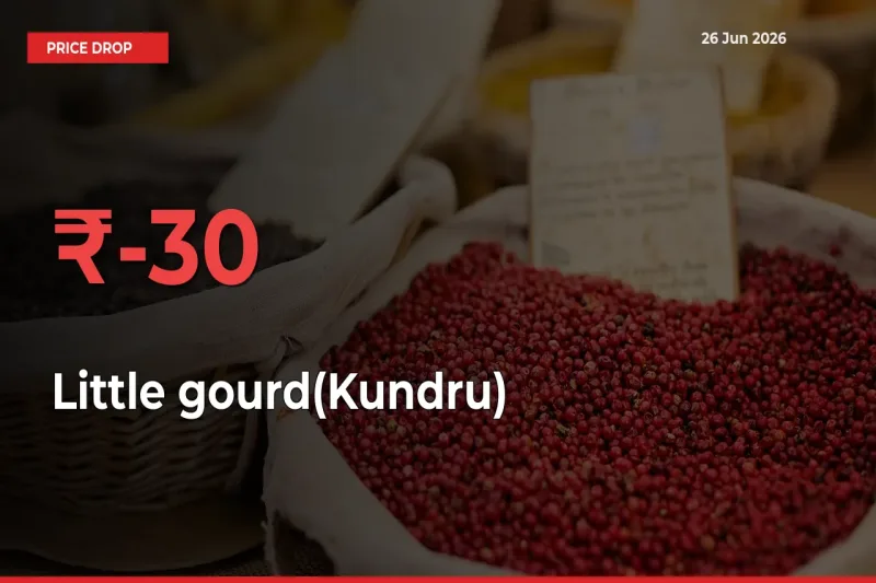 Why Little gourd(Kundru) Prices Fell 30.02% in a Day at Mandis