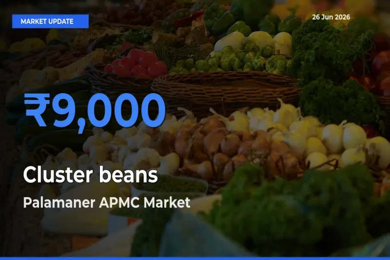 Palamaner APMC Tops Cluster beans Rates – June 26 Market Update