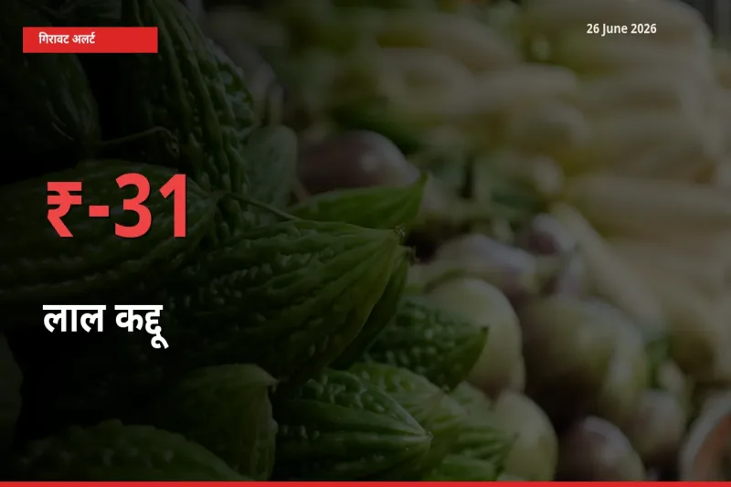 बाज़ार संकेत: लाल कद्दू के भाव मंडी में 31.24% नीचे