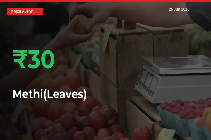 30.14% Spike in Methi(Leaves) Prices – Mandi Sees Sudden Rally