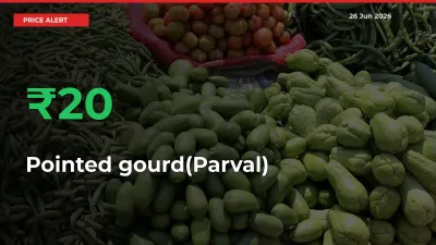 This Mandi Records 20.37% Jump in Pointed gourd(Parval) Prices