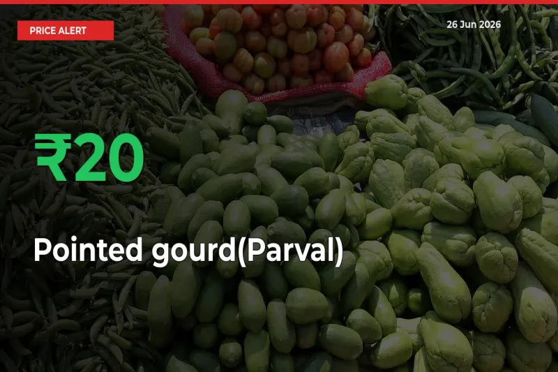 This Mandi Records 20.37% Jump in Pointed gourd(Parval) Prices