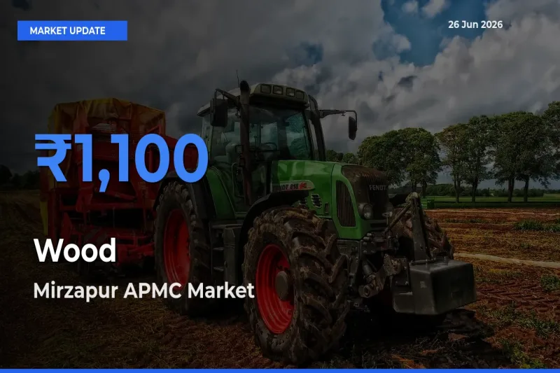 Top Performer! Mirzapur APMC Offers Best Wood Price Today