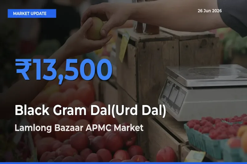 Market Watch: Lamlong Bazaar APMC Becomes Top Mandi for Black Gram Dal(Urd Dal)