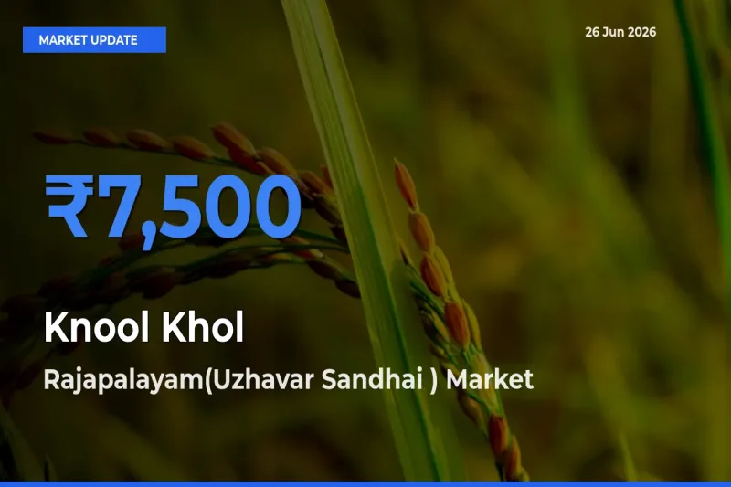 Market Watch: Rajapalayam(Uzhavar Sandhai ) Becomes Top Mandi for Knool Khol