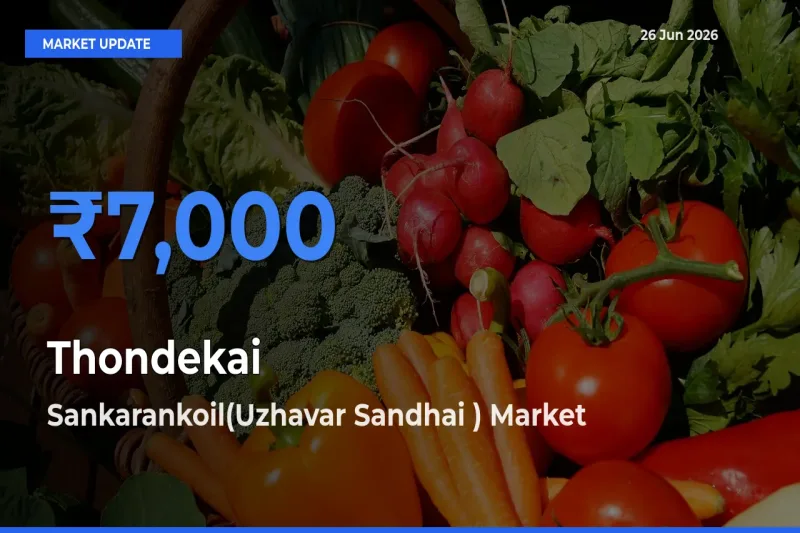 Market Watch: Sankarankoil(Uzhavar Sandhai ) Becomes Top Mandi for Thondekai
