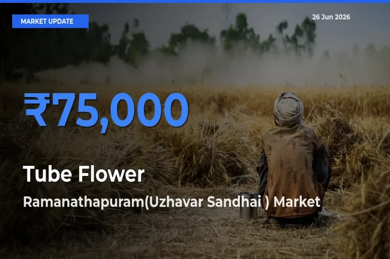 Ramanathapuram(Uzhavar Sandhai ) Tops Tube Flower Mandi Rates Today