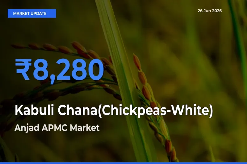 Kabuli Chana(Chickpeas-White) Mandi Rate Today: Anjad APMC Tops the List
