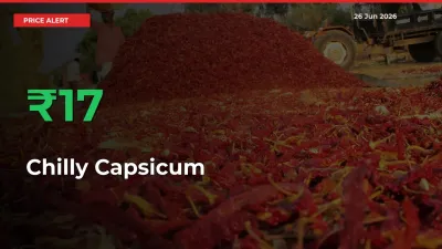 Chilly Capsicum Rises 16.8% at Mandis