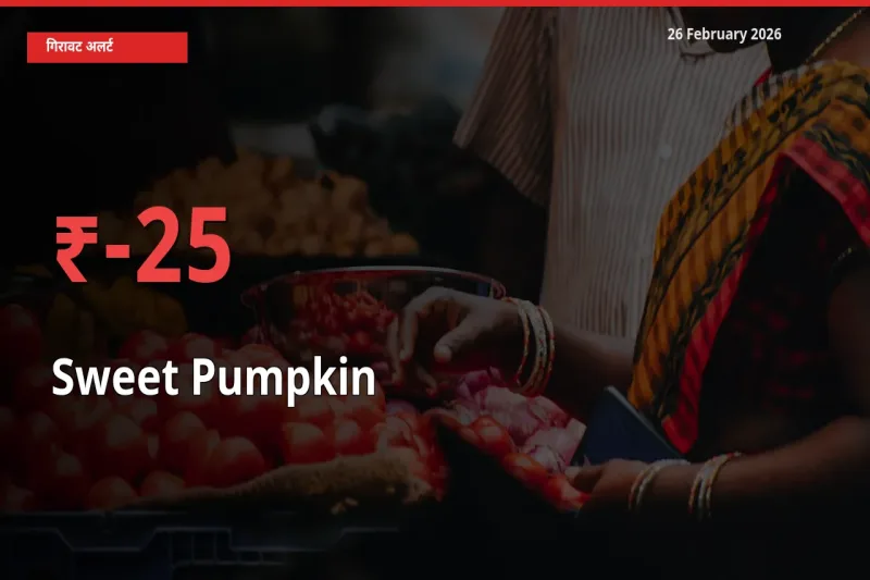 26 February अपडेट: Sweet Pumpkin के दाम मंडी में 25.06% गिरे