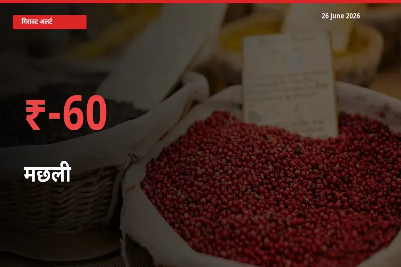 किसानों की चिंता बढ़ी! स्थानीय मंडी में मछली 59.65% गिरा