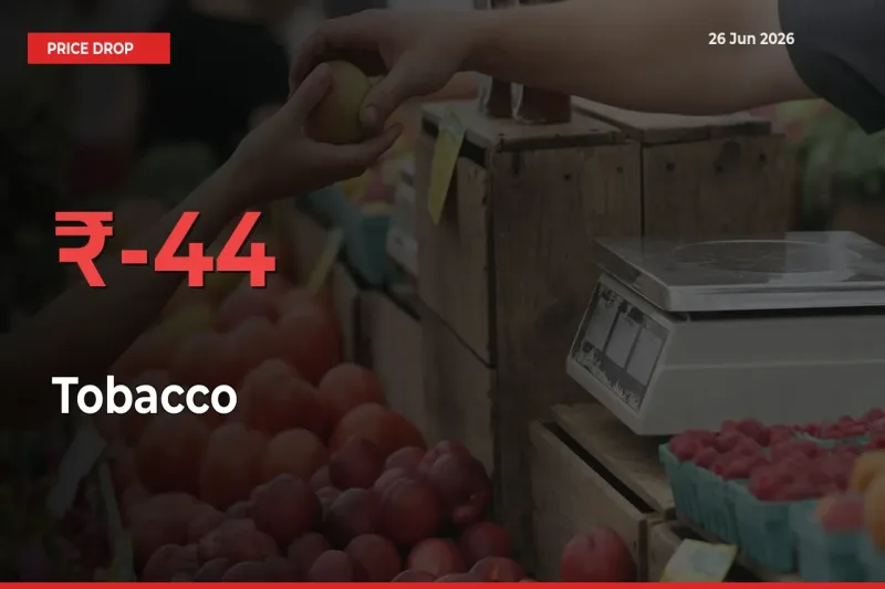 Sharp Fall! Tobacco Prices Plunge 43.97% in a Day at Key Mandis