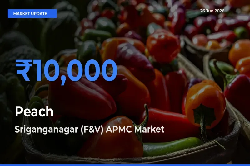 Sriganganagar (F&V) APMC Tops Peach Mandi Rates Today