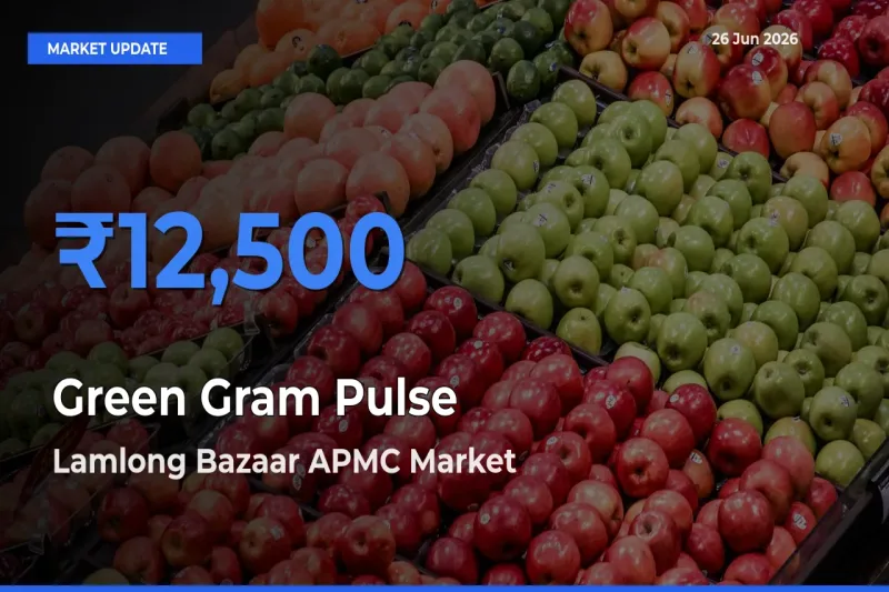 Lamlong Bazaar APMC Tops Green Gram Pulse Rates – June 26 Market Update