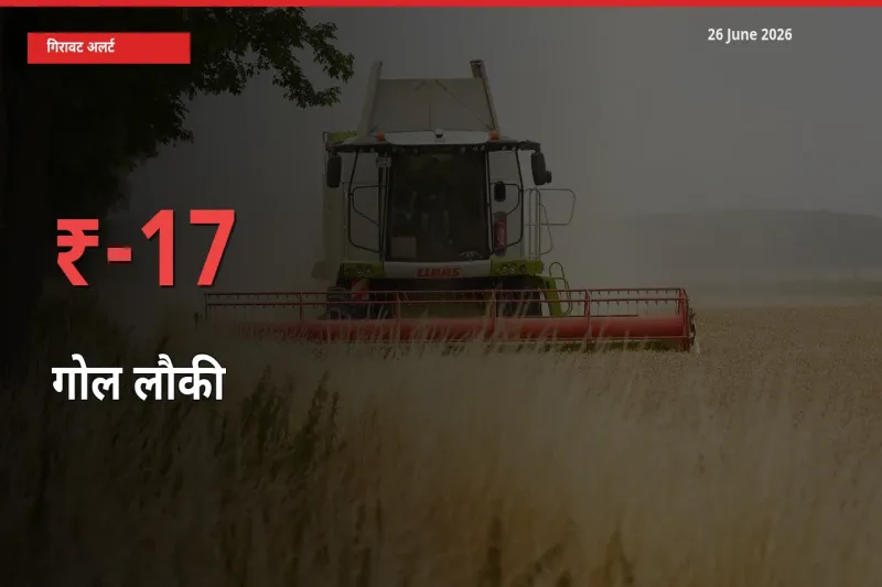 गोल लौकी 17.01% गिरा, मंडी