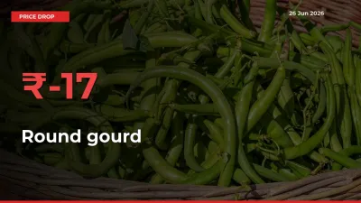 Why Round gourd Prices Fell 17.01% in a Day at Mandis