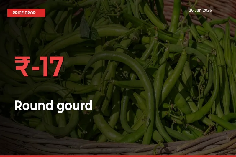 Why Round gourd Prices Fell 17.01% in a Day at Mandis