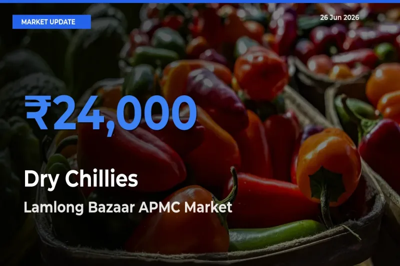 Dry Chillies Mandi Rate Today: Lamlong Bazaar APMC Tops the List