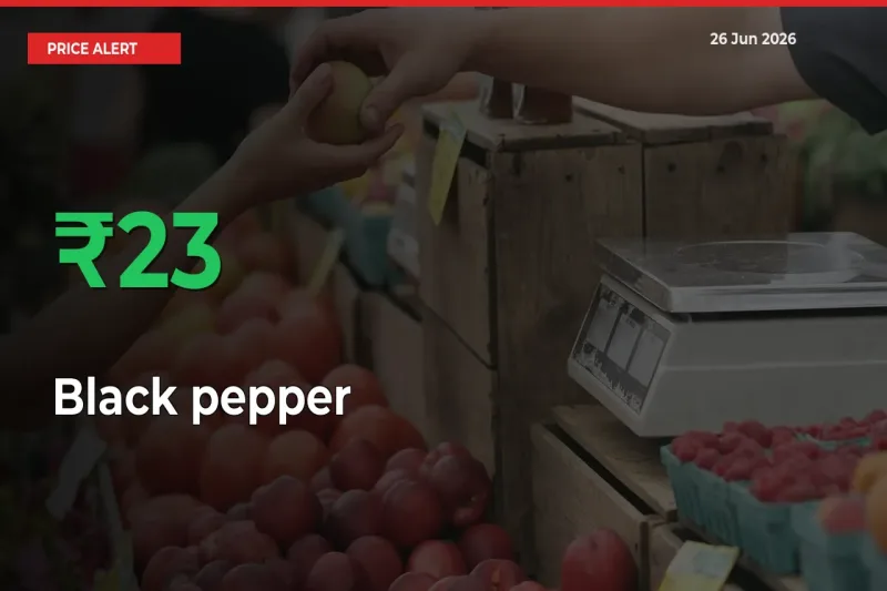 This Mandi Records 22.5% Jump in Black pepper Prices
