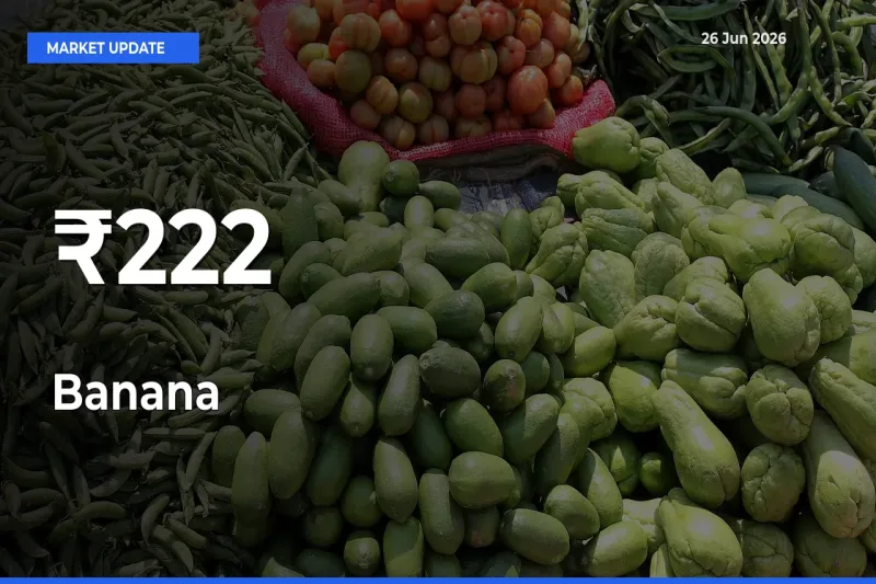 Multi-Mandi Trend Emerges as Banana Prices Shift Across Key Markets