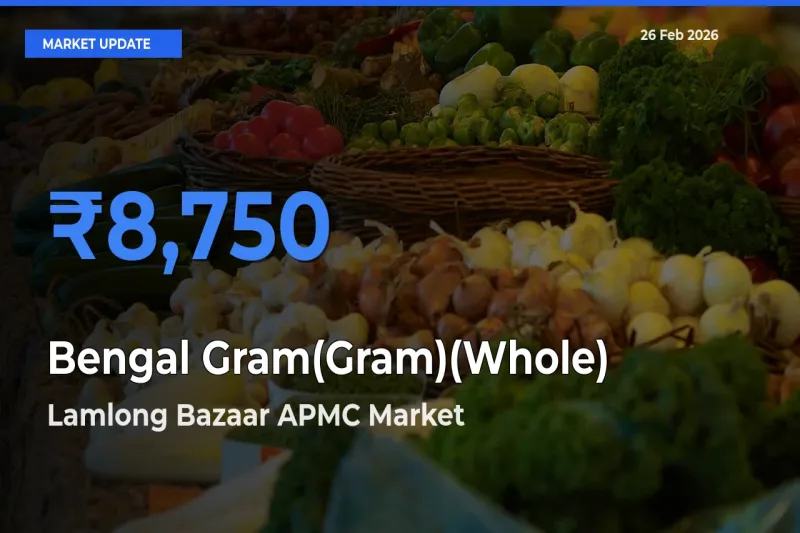 Top Performer! Lamlong Bazaar APMC Offers Best Bengal Gram(Gram)(Whole) Price Today