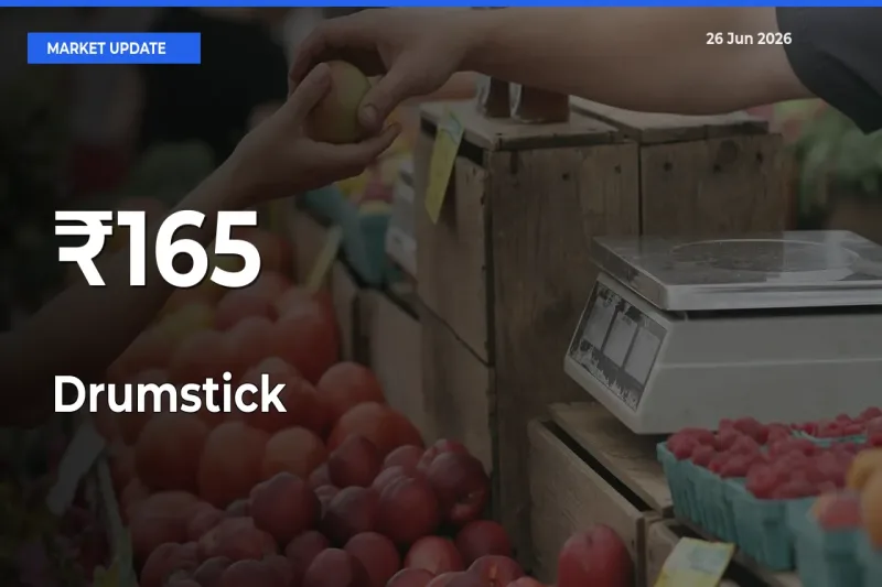 Drumstick Mandi Prices Move in Sync Across Major Markets Today