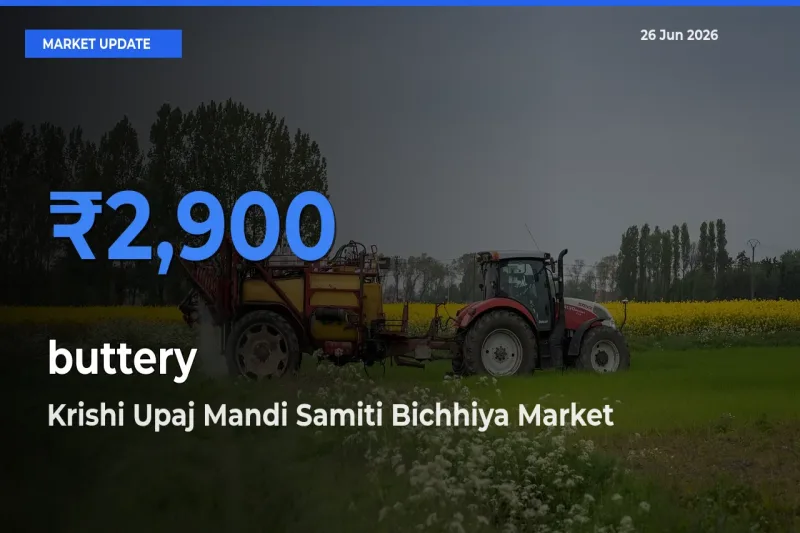 Top Performer! Krishi Upaj Mandi Samiti Bichhiya Offers Best buttery Price Today