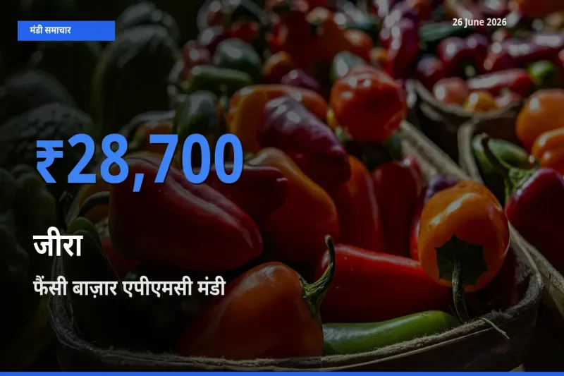 बाज़ार संकेत: फैंसी बाज़ार एपीएमसी बना जीरा के लिए आज की टॉप मंडी