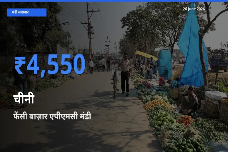 आज चीनी के सबसे ऊँचे दाम ₹4,550 फैंसी बाज़ार एपीएमसी मंडी में
