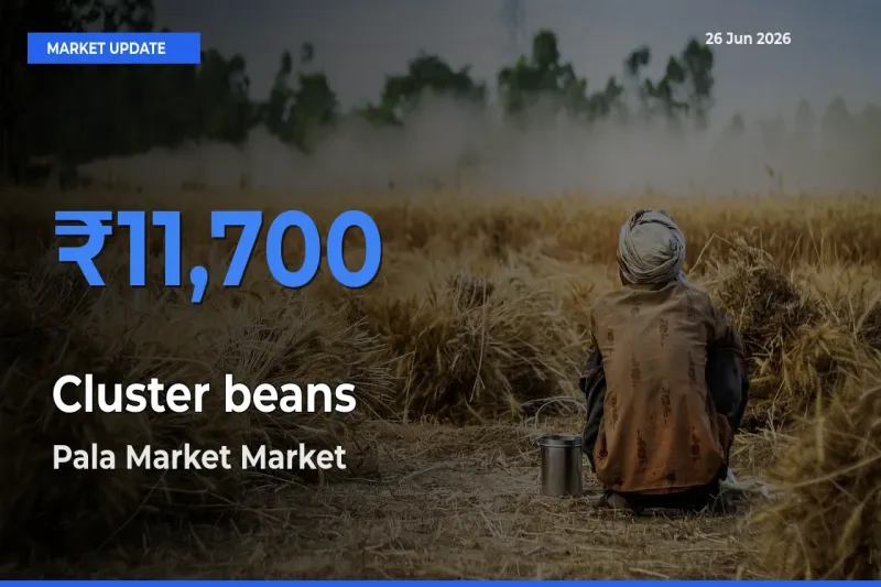 Pala Market Emerges as Top Mandi for Cluster beans Prices Today
