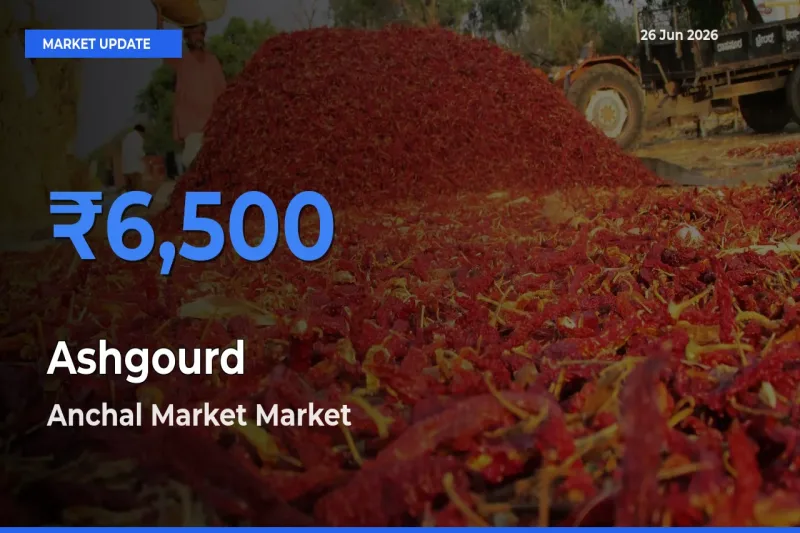 Top Performer! Anchal Market Offers Best Ashgourd Price Today