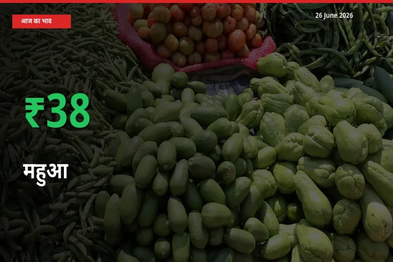 तेज़ तेजी! मंडी में महुआ के दाम 37.6% चढ़े