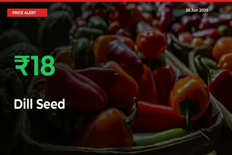 Dill Seed Mandi Rate Today: Prices Jump 17.55% at Market