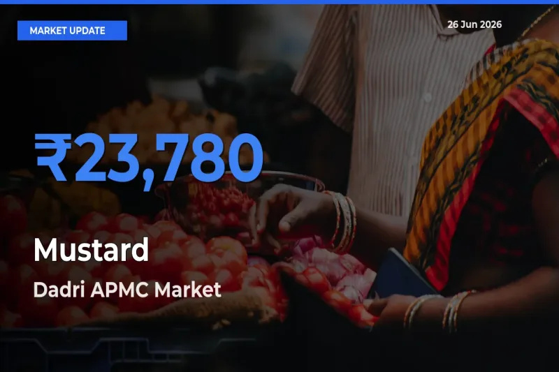 Dadri APMC Tops Mustard Mandi Rates Today
