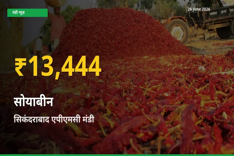 सोयाबीन के दामों में रिकॉर्ड तेज़ी, सिकंदराबाद एपीएमसी
