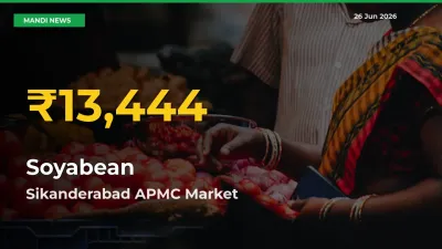 Soyabean Price Hits New High in Sikanderabad APMC Today – Check Latest Mandi Rates