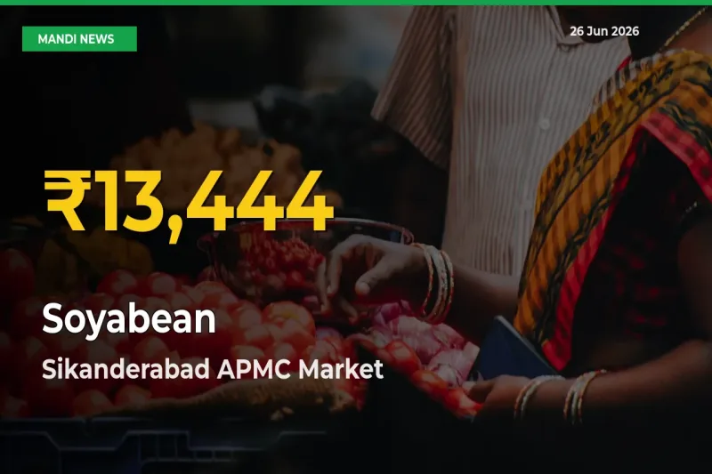Soyabean Price Hits New High in Sikanderabad APMC Today – Check Latest Mandi Rates