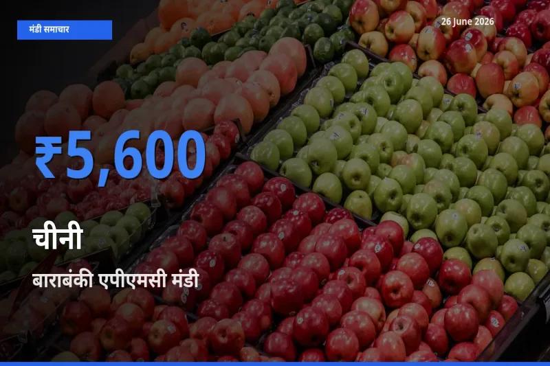 बाराबंकी एपीएमसी में चीनी का आज सबसे ऊँचा भाव
