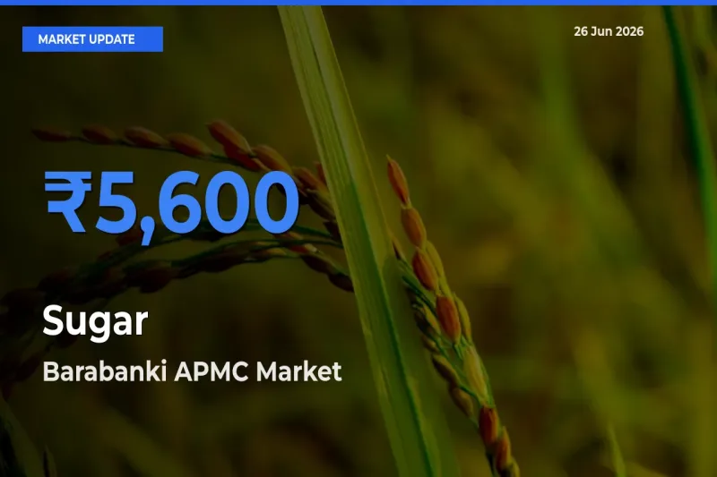 Sugar Mandi Rate Today: Barabanki APMC Tops the List