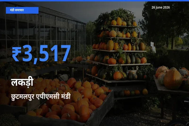 छुटमलपुर एपीएमसी मंडी में आज लकड़ी के सबसे ऊँचे दाम दर्ज