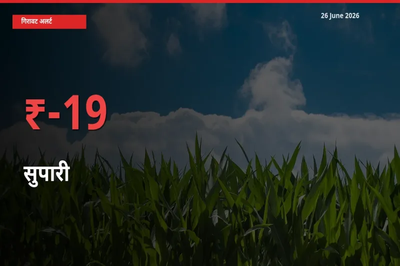 सुपारी 18.51% गिरा, मंडी