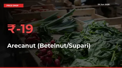 Arecanut (Betelnut/Supari) Falls 18.51% at Mandis