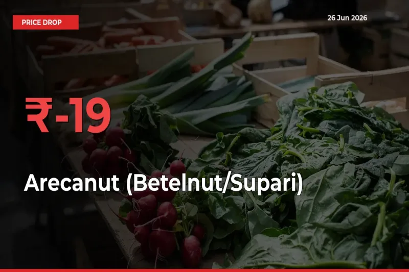 Arecanut (Betelnut/Supari) Falls 18.51% at Mandis