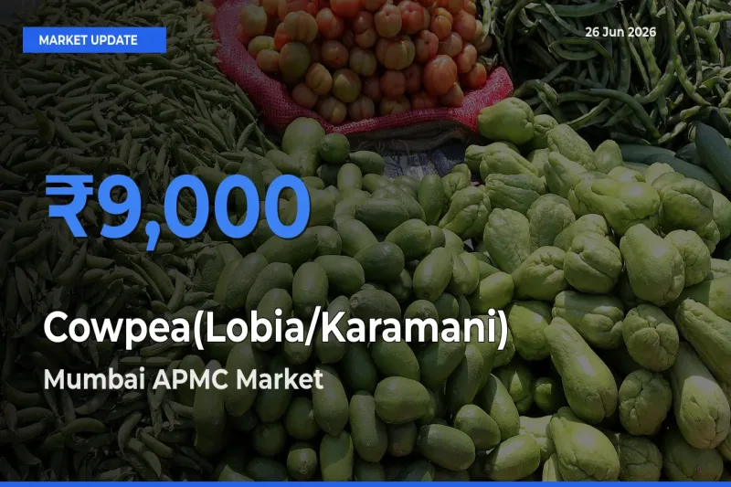 Mumbai APMC Emerges as Top Mandi for Cowpea(Lobia/Karamani) Prices Today