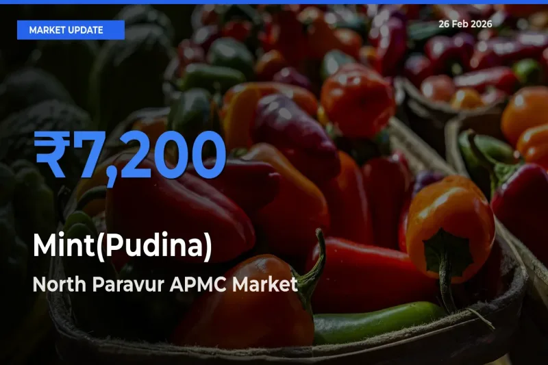 North Paravur APMC Emerges as Top Mandi for Mint(Pudina) Prices Today