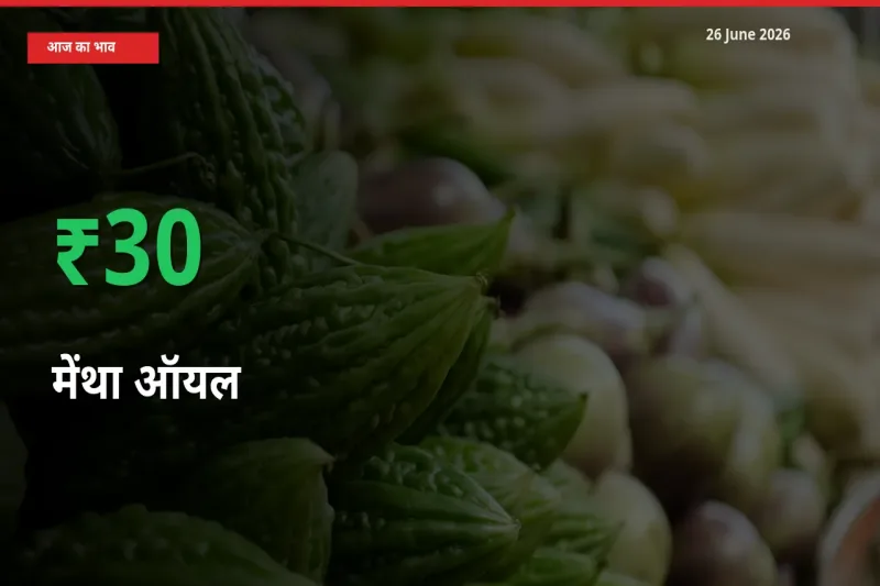 26 June अपडेट: मेंथा ऑयल के दाम मंडी में 29.62% उछले