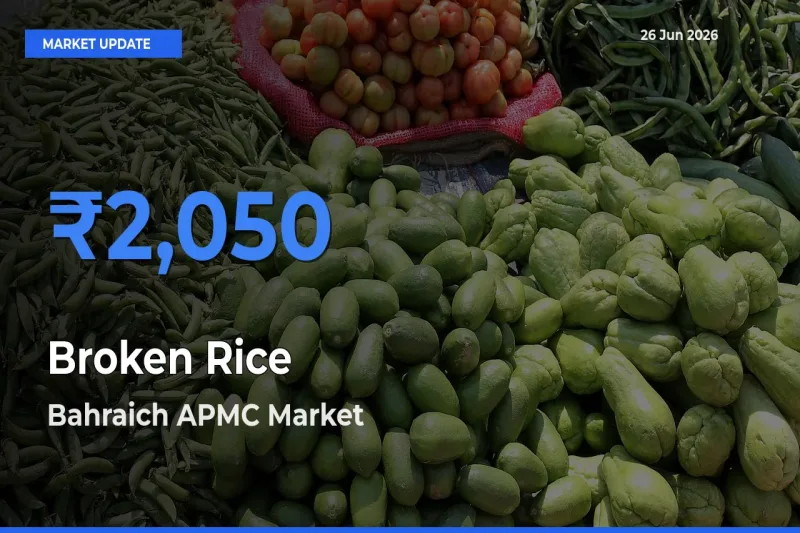 Bahraich APMC Leads as Top Mandi for Broken Rice Prices